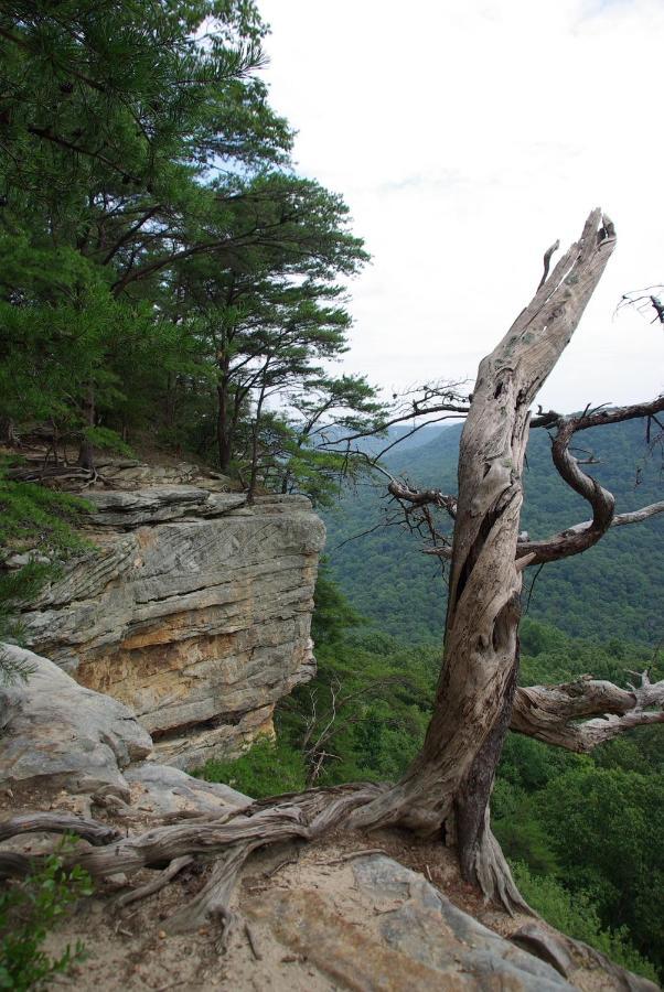 Greeter Falls Lodge Cottage #6 Beersheba Springs 外观 照片